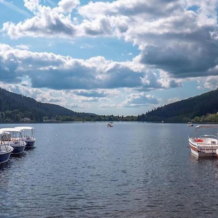 Studio Cosy Ambiance Vosgienne A 20 Mn De Gerardmer Lepanges-sur-Vologne Eksteriør bilde