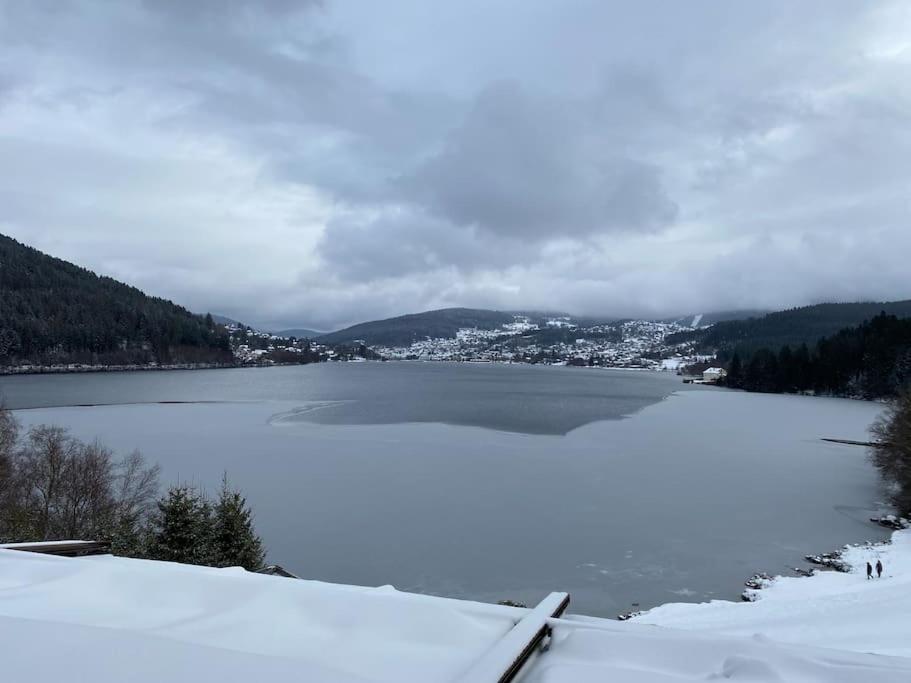 Studio Cosy Ambiance Vosgienne A 20 Mn De Gerardmer Lepanges-sur-Vologne Eksteriør bilde