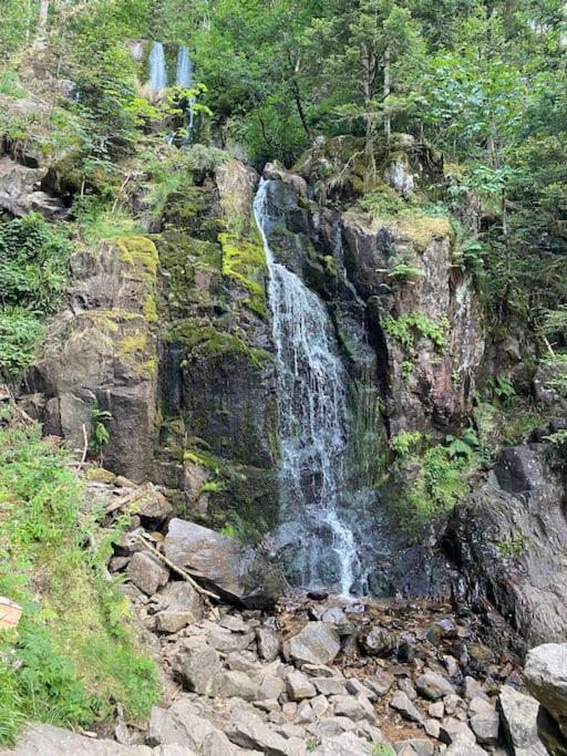 Studio Cosy Ambiance Vosgienne A 20 Mn De Gerardmer Lepanges-sur-Vologne Eksteriør bilde