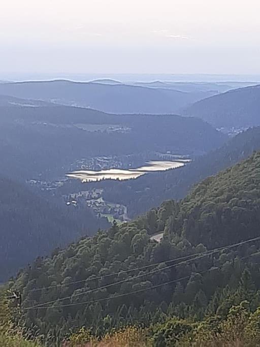 Studio Cosy Ambiance Vosgienne A 20 Mn De Gerardmer Lepanges-sur-Vologne Eksteriør bilde