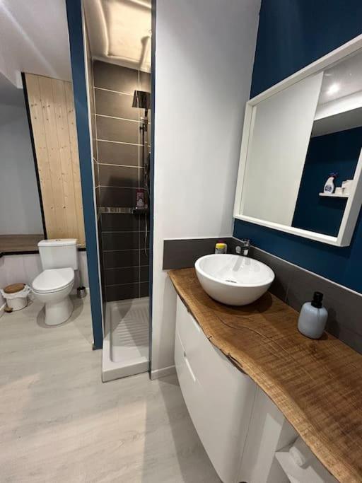 Studio Cosy Ambiance Vosgienne A 20 Mn De Gerardmer Lepanges-sur-Vologne Eksteriør bilde
