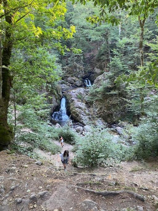 Studio Cosy Ambiance Vosgienne A 20 Mn De Gerardmer Lepanges-sur-Vologne Eksteriør bilde