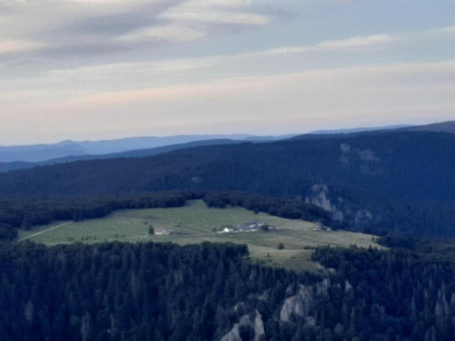 Studio Cosy Ambiance Vosgienne A 20 Mn De Gerardmer Lepanges-sur-Vologne Eksteriør bilde