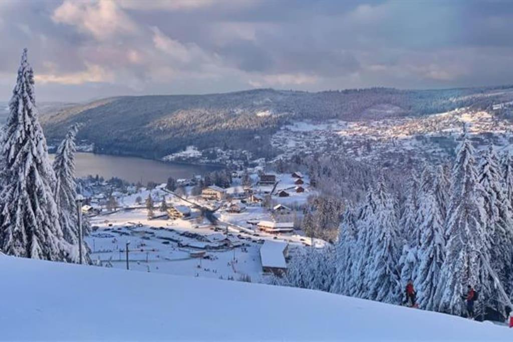 Studio Cosy Ambiance Vosgienne A 20 Mn De Gerardmer Lepanges-sur-Vologne Eksteriør bilde