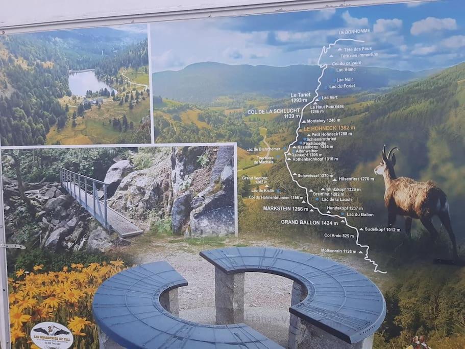 Studio Cosy Ambiance Vosgienne A 20 Mn De Gerardmer Lepanges-sur-Vologne Eksteriør bilde